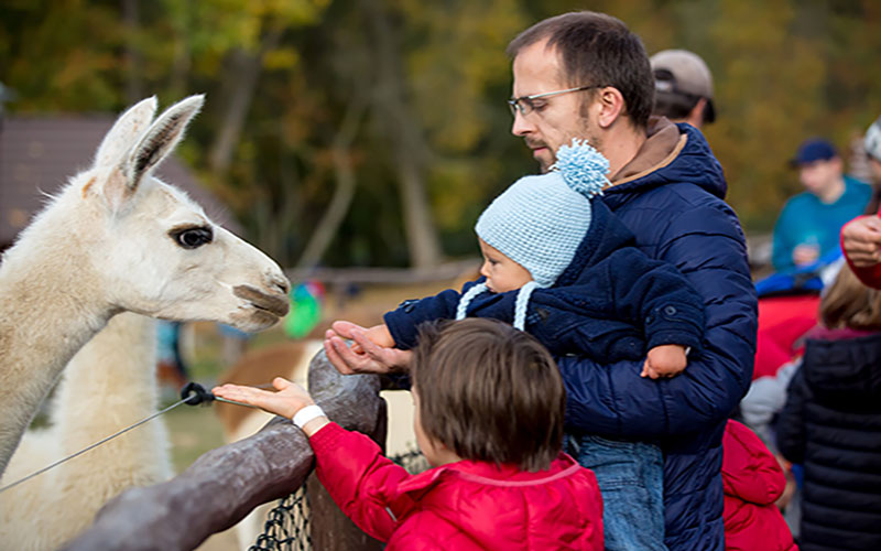 Der Arnstädter Tierpark ist perfekt als Ausflugsziel für Familien mit kleinen Kindern - Tipp vom Thüringer Hof Rudolstadt