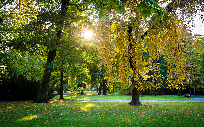 Herbsttag im Heinrich-Heine-Park in Rudolstadt